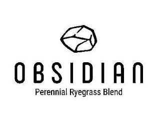 OBSIDIAN PERENNIAL RYEGRASS BLEND logo