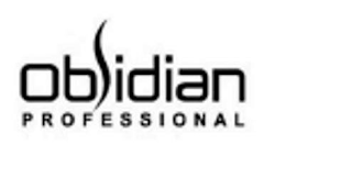 OBSIDIAN PROFESSIONAL logo
