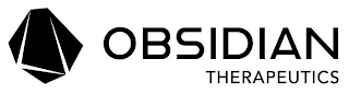 OBSIDIAN THERAPEUTICS logo