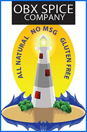 OBX SPICE COMPANY ALL NATURAL NO MSG GLUTEN FREE logo