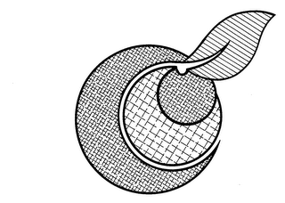 OC logo