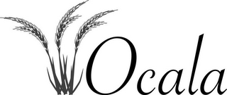 OCALA logo