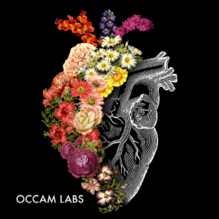 OCCAM LABS logo