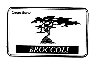 OCEAN BREEZE BROCCOLI logo