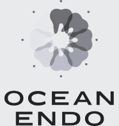 OCEAN ENDO logo