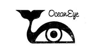 OCEAN EYE logo