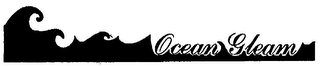 OCEAN GLEAM logo