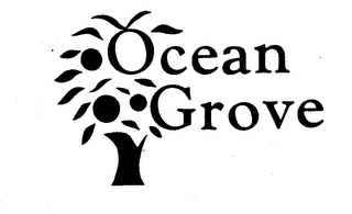 OCEAN GROVE logo
