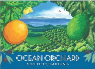 OCEAN ORCHARD MONTECITO, CALIFORNIA logo