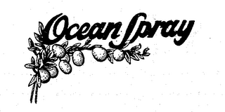 OCEAN SPRAY logo