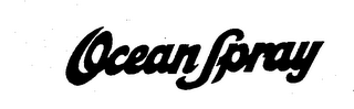 OCEAN SPRAY logo