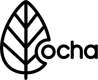 OCHA logo