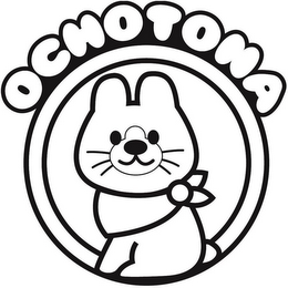 OCHOTONA logo