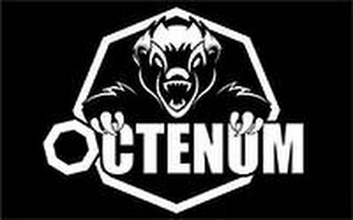 OCTENUM logo
