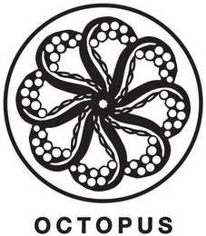 OCTOPUS logo