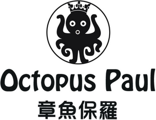 OCTOPUS PAUL logo