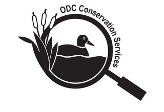ODC CONSERVATION SERVICES logo