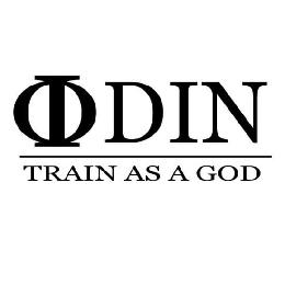 ODIN TRAIN AS A GOD logo