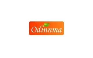 ODINNMA logo