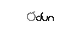 ODUN logo