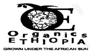 OE ORGANICS ETHIOPIA GROWN UNDER THE AFRICAN SUN logo