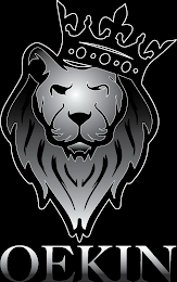 OEKIN logo