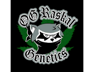 OG RASKAL GENETICS logo