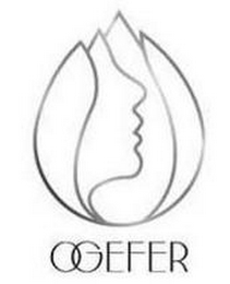 OGEFER logo