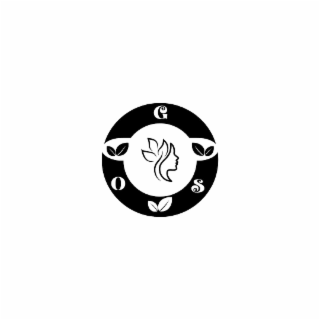 OGS logo