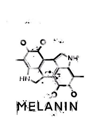 OH HN NH MELANIN logo