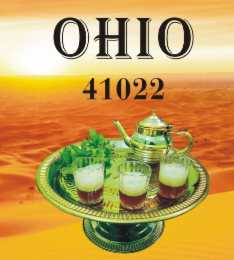 OHIO 41022 logo