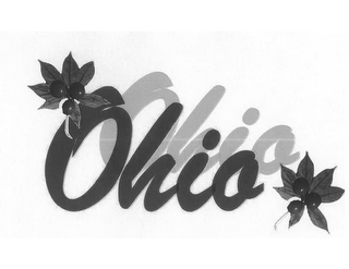 OHIO logo