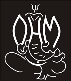 OHM logo