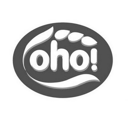 OHO logo
