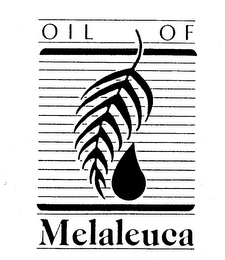 OIL OF MELALEUCA logo
