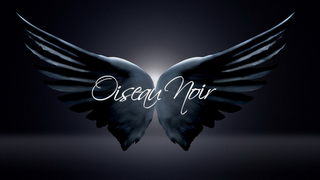 OISEAU NOIR logo