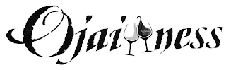 OJAI NESS logo