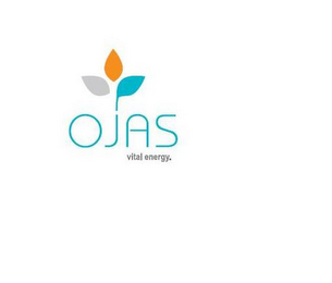 OJAS VITAL ENERGY logo