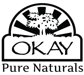 OKAY PURE NATURALS logo