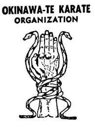 OKINAWA-TE KARATE ORGANIZATION logo