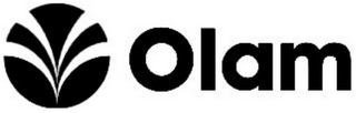 OLAM logo