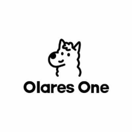 OLARES ONE logo