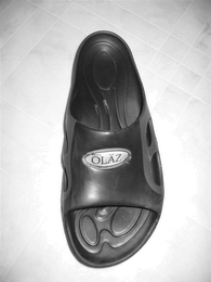 OLAZ logo