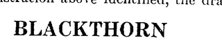 OLD BLACKTHORN logo