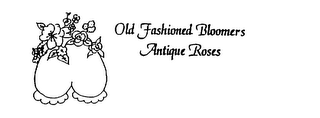 OLD FASHIONED BLOOMERS ANTIQUE ROSES logo