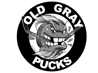 OLD GRAY PUCKS O.G.P. 55+