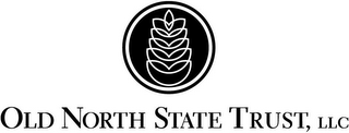 OLD NORTH STATE TRUST, LLC logo
