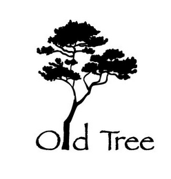 OLD TREE logo