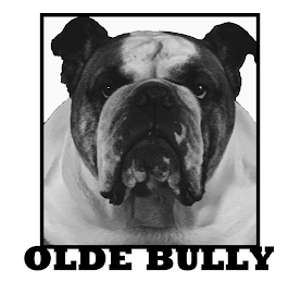 OLDE BULLY logo