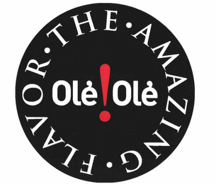 OLE OLE· THE · AMAZING · FLAVOR logo